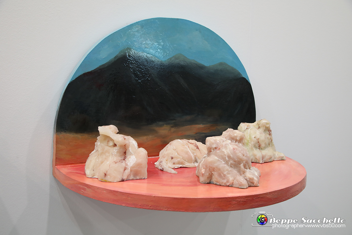VBS_5323 - Artissima 2021.jpg